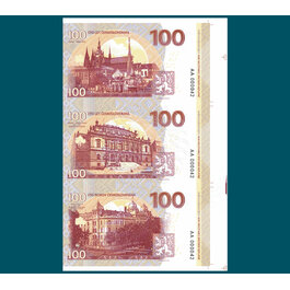 100 korún rev.