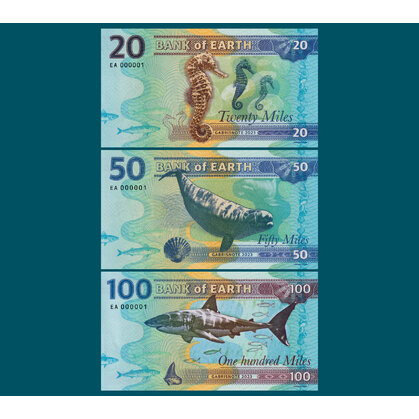 rok 2023